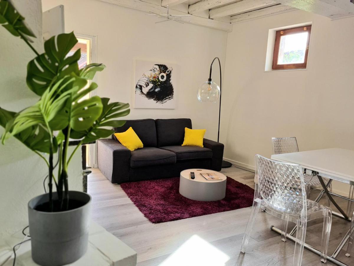Maison Charme Avec Terrasse Hypercentre, Tres Calme Joigny Buitenkant foto